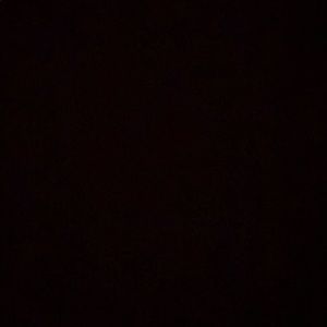 Meet your Posher, Rhodi